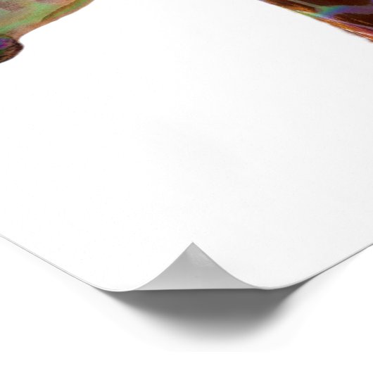 Fun funky colorful Giraffe Poster (Hoek)