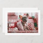 Fun Furry en Bright Modern Pet Pun Holiday Kaart (Voorkant / Achterkant)