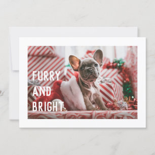 Fun Furry en Bright Modern Pet Pun Holiday Kaart