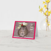 Fun Get Well Soon Kaart (Gele Bloem)