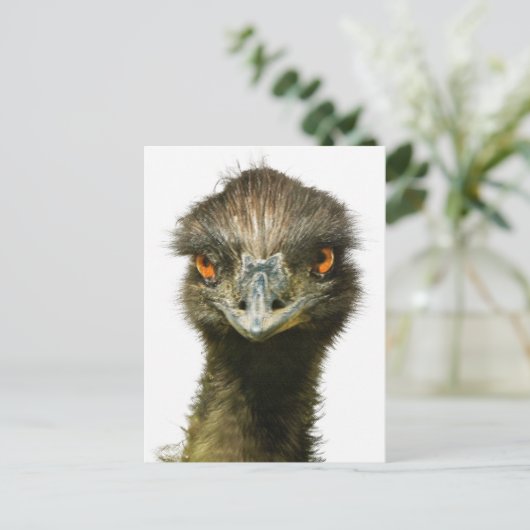 Fun Glaring Emu Sluiten Briefkaart (Staand voorkant)