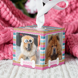Fun Glitter Stripe Pattern Dog Photo Collage Decoratie