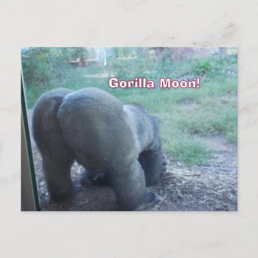 Fun Gorilla Moon Briefkaart (Voorkant)