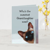 Fun Granddochter Birthday Wishes Siamese Cat Kaart (Gele Bloem)