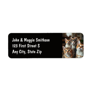 Fun Group of Cats Kittens Dierlijke Huisdieren Etiket