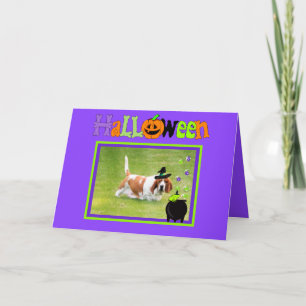 Fun Halloween Card W/Basset Hound, Frog & Spiers Kaart
