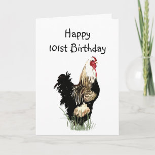Fun Happy 101st Birthday Spring Chicken Humor Kaart