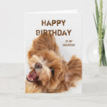 Fun Happy Birthday Grandson Cute Dog Puppy Feestdagen Kaart<br><div class="desc">Keltische verslaafden Kerstmis voor iedereen die je naar je favoriete vrienden,  familie of anderen stuurt Fun Happy Birthday Grandson Cute Dog Puppy</div>