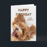Fun Happy Birthday Grandson Cute Dog Puppy Feestdagen Kaart<br><div class="desc">Keltische verslaafden Kerstmis voor iedereen die je naar je favoriete vrienden,  familie of anderen stuurt Fun Happy Birthday Grandson Cute Dog Puppy</div>