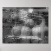 Fun Herfst Pumpkins Black White Photo Print (Voorkant)