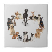 Fun Hondenras Pet Animals Dog Tegeltje (Voorkant)