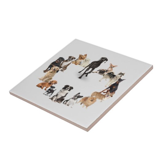 Fun Hondenras Pet Animals Dog Tegeltje (Zijkant)