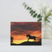 Fun Horse in het Sunset Briefkaart (Staand voorkant)