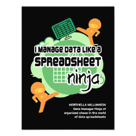 Fun I Manage Data SPREADSHEET NINJA Foto Afdruk