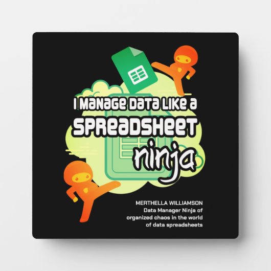 Fun I Manage Data SPREADSHEET NINJA Fotoplaat (Voorkant)
