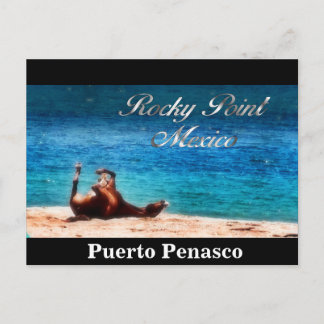 Fun in de zon briefkaart