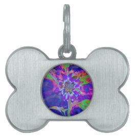 Fun in Sun Blue Huisdieren Naamplaatje