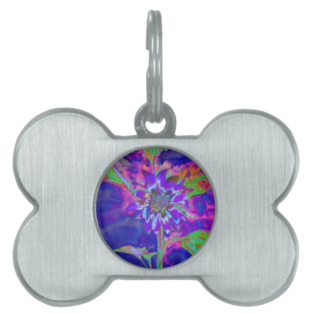 Fun in Sun Blue Huisdieren Naamplaatje (voorkant)