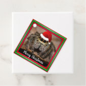 Fun Jumping Spider in Santa Hat Kerstmis Bedankjes Labels (In situ)