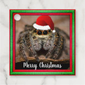 Fun Jumping Spider in Santa Hat Kerstmis Bedankjes Labels (Voorkant)