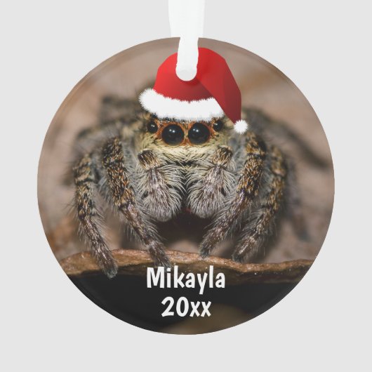 Fun Jumping Spider in Santa Hat Kerstmis Ornament (achterkant)