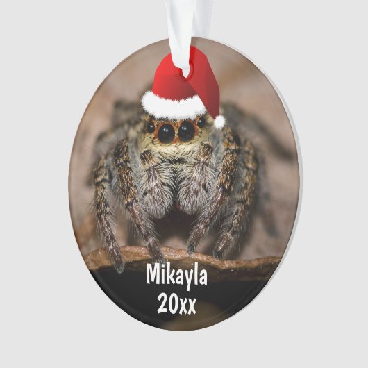 Fun Jumping Spider in Santa Hat Kerstmis Ornament (voorkant)