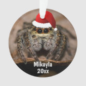 Fun Jumping Spider in Santa Hat Kerstmis Ornament (voorkant)