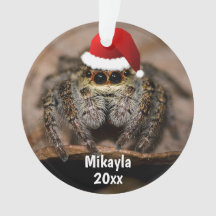 Fun Jumping Spider in Santa Hat Kerstmis