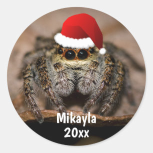 Fun Jumping Spider in Santa Hat Kerstmis Ronde Sticker