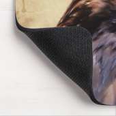 Fun Juvenile Bald Eagle Bad Attitude Wildlife Muismat (Hoek)