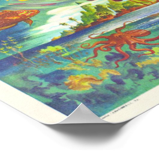 Fun-kaart voor Hawaiiaanse eilanden Poster (Hoek)