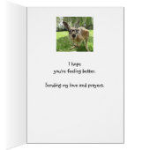 Fun Kangaroo G'day Mate Australian Animal Get (Binnen (Rechts))