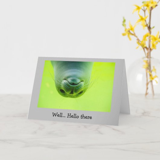 Fun Keeping in Touch How are you Seal Animal Kaart (Gele Bloem)