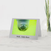 Fun Keeping in Touch How are you Seal Animal Kaart (Voorkant)