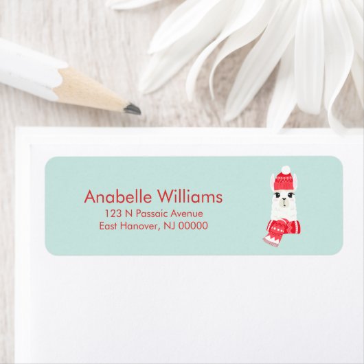 Fun Kerstalpaca Etiket (Insitu)