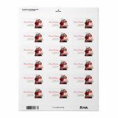 Fun Kerstfoto Modern Minimal Return Address Etiket (Full Sheet)