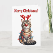 Fun Kitten Funny Cat Christmas Kaart (Voorkant)