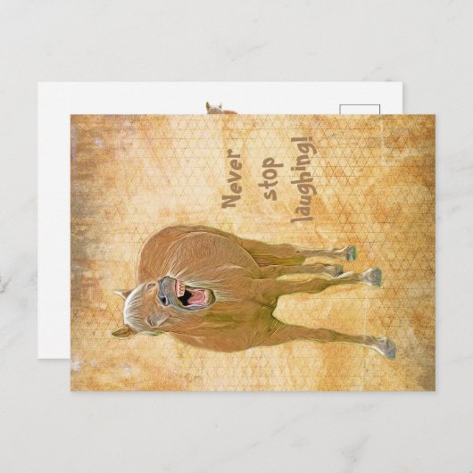 Fun lachpaard - Briefkaart (Voorkant / Achterkant)