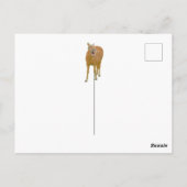 Fun lachpaard - Briefkaart (Achterkant)