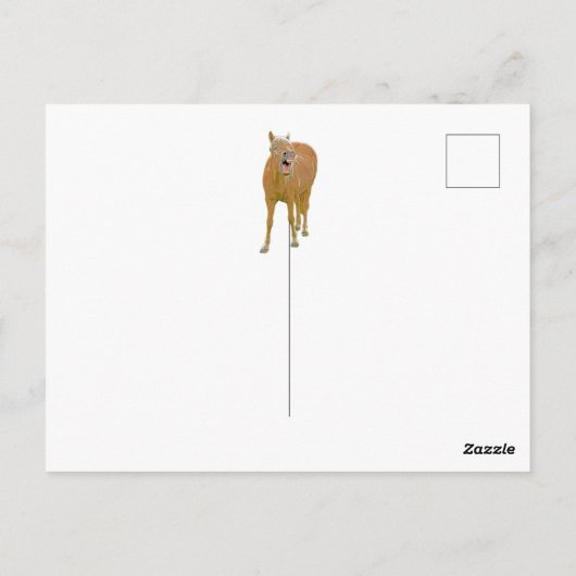 Fun lachpaard - Briefkaart (Achterkant)