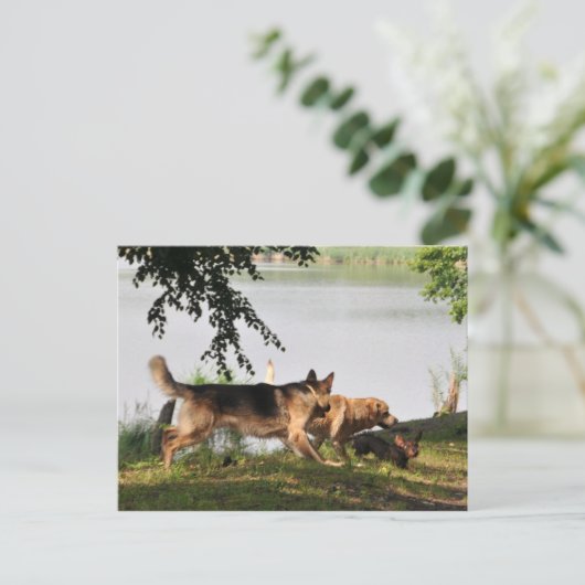 Fun, leuk, leuk! briefkaart (Staand voorkant)