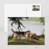 Fun, leuk, leuk! briefkaart (Voorkant / Achterkant)