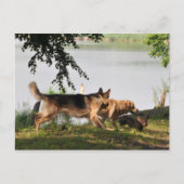 Fun, leuk, leuk! briefkaart (Voorkant)