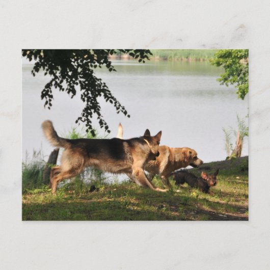 Fun, leuk, leuk! briefkaart (Voorkant)