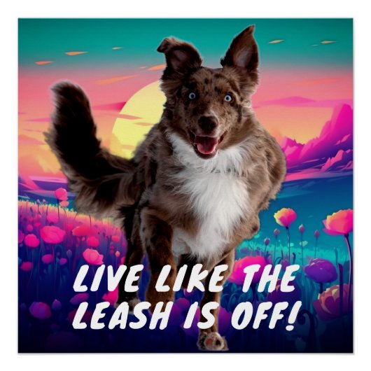 Fun Life Quote Moderne Australische Herder Perfect Poster (Voorkant)