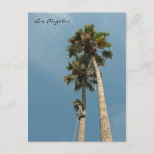 Fun Los Angeles Briefkaart! Briefkaart