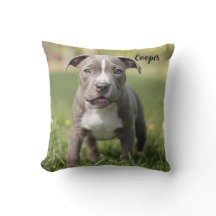 Fun-loving Pit Bull gepersonaliseerd