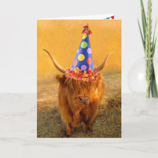 Fun Loving Scottish Highland Steer Birthday Kaart (Voorkant)