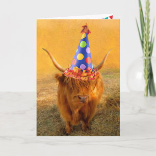 Fun Loving Scottish Highland Steer Birthday Kaart
