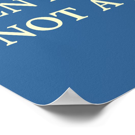 Fun Luxury Mannen Poster! Poster (Hoek)